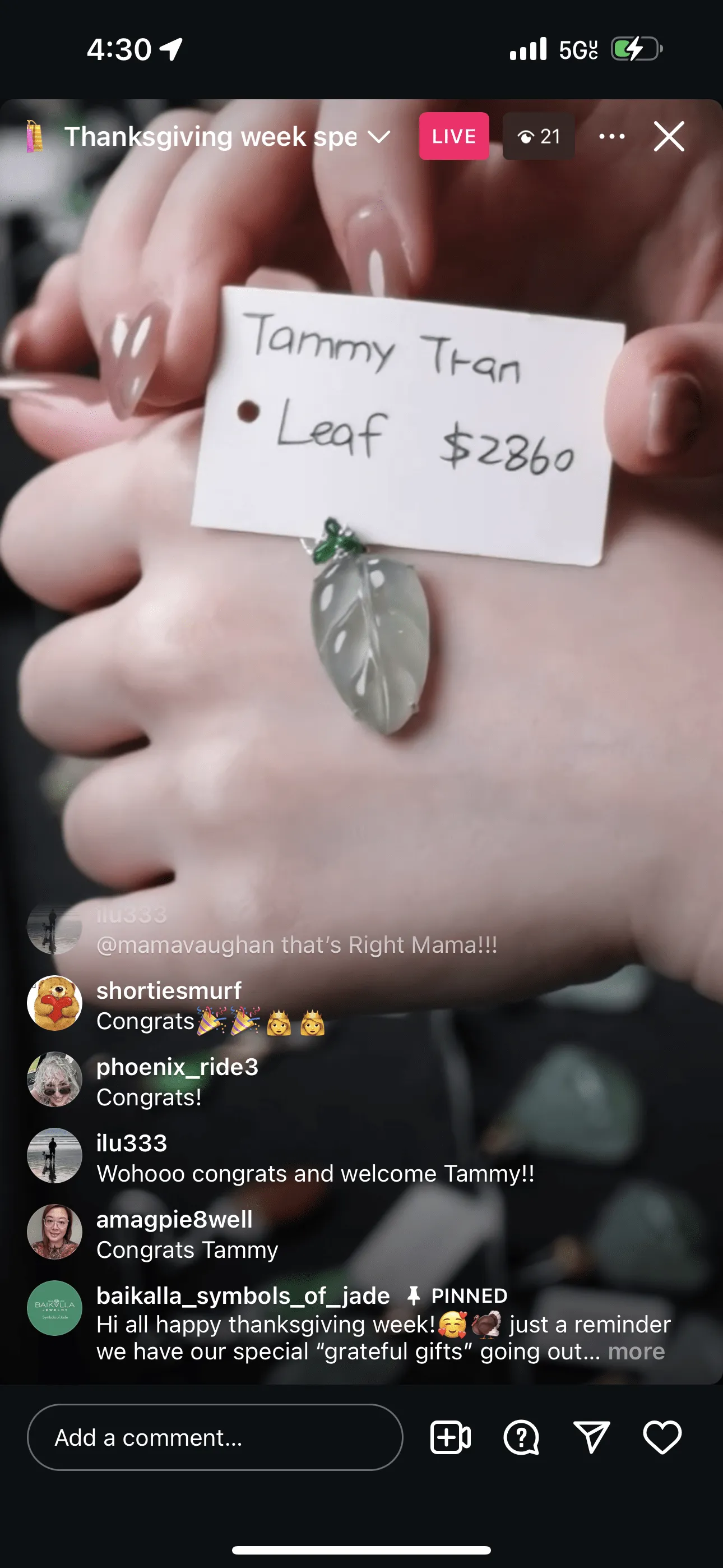 FB Live "18k Natural Light Green Icy Jadeite Jade Leaf Necklace w/ natural diamonds" (Live Pick) (11/26/24)