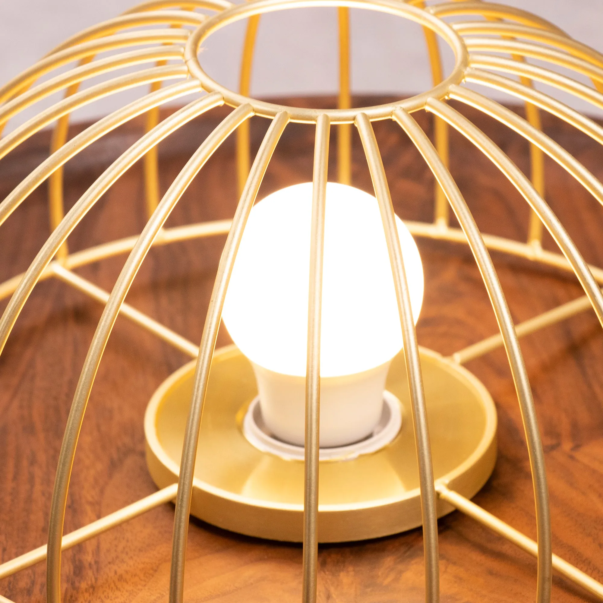 Kasa Pendant Lamp
