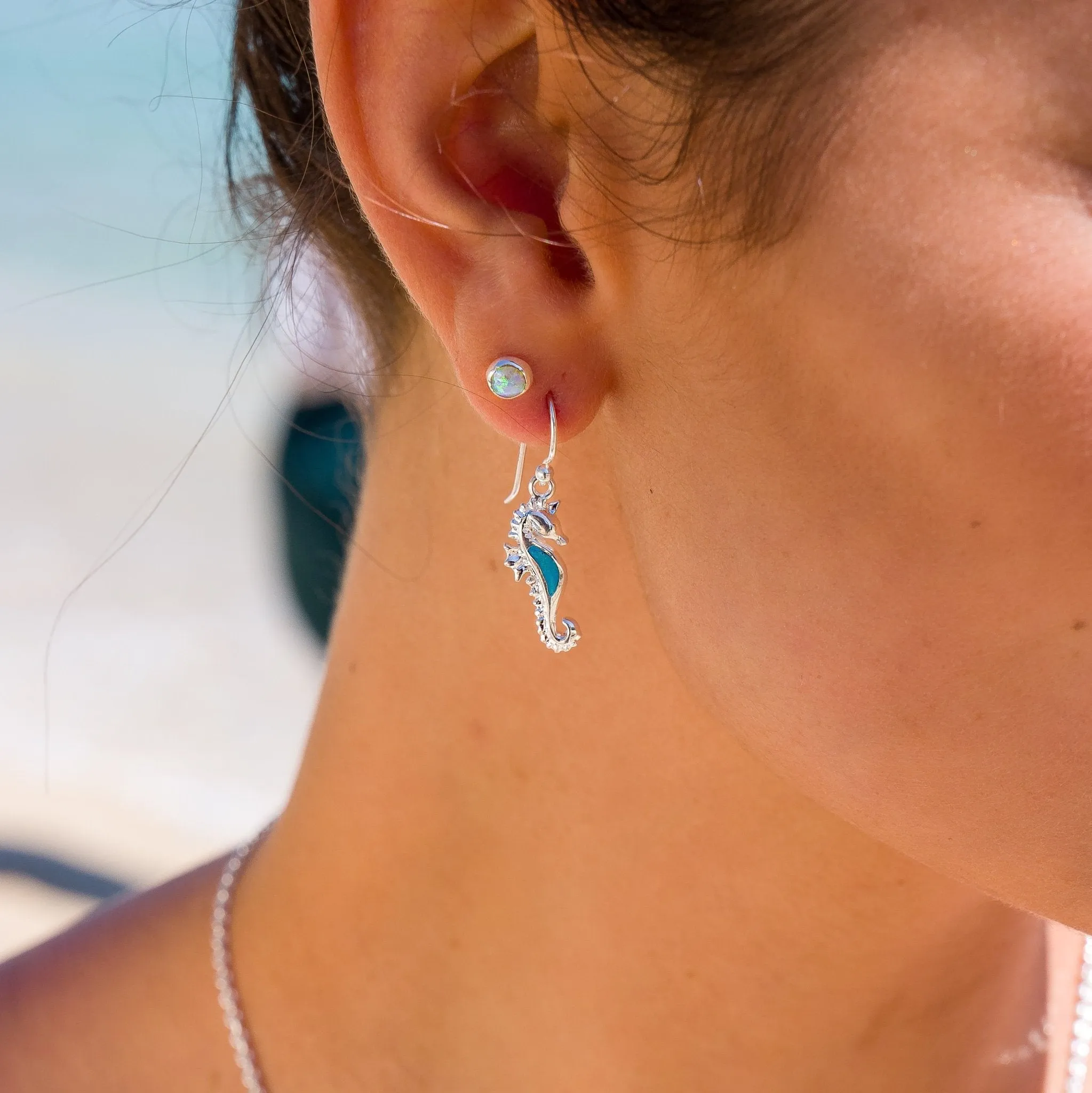 Turquoise seahorse earrings